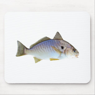 Tapis De Souris Photo de poissons de tache