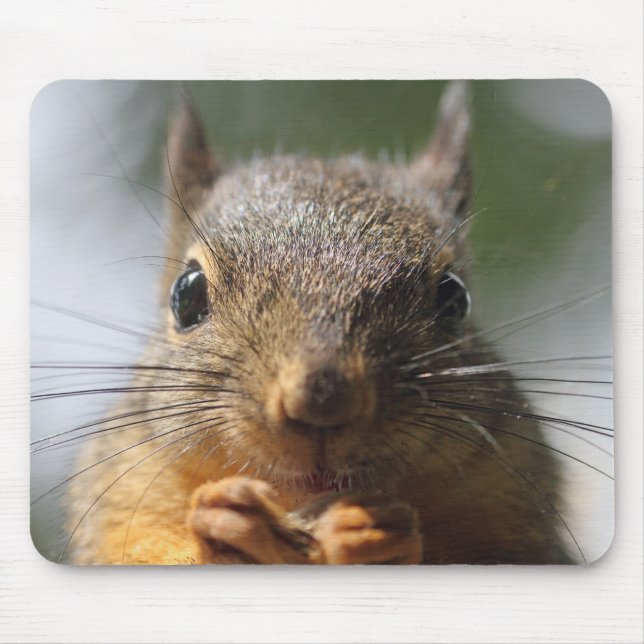 Tapis De Souris Photo de sourire d'écureuil mignon (Devant)