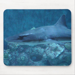 Tapis De Souris Photo d'une souris de requin