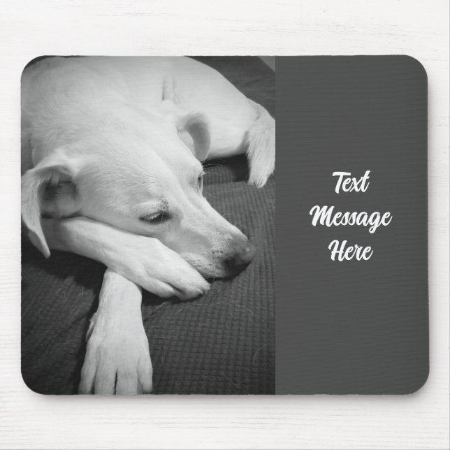 Tapis De Souris Photo en noir et blanc d'un beau chien dormant (Devant)