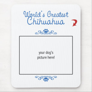 Tapis De Souris Photo faite sur commande ! Le plus grand chiwawa