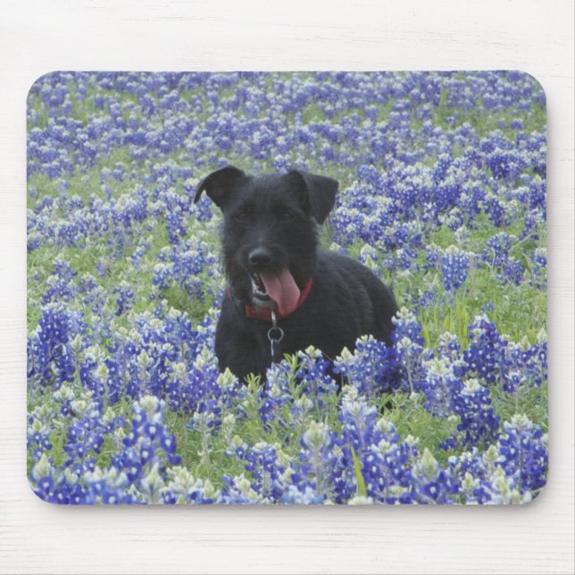 Tapis De Souris Photo mignonne de chiot de champ de Bluebonnets de (Devant)