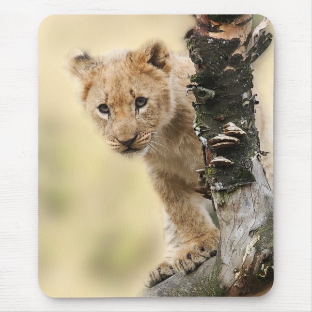 Tapis De Souris Photo mignonne d'un lionceau grimpant à un arbre (Devant)