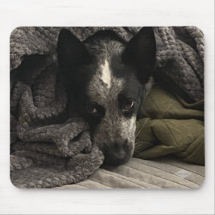 Tapis De Souris Photo Pad Souris - HAMbyWG