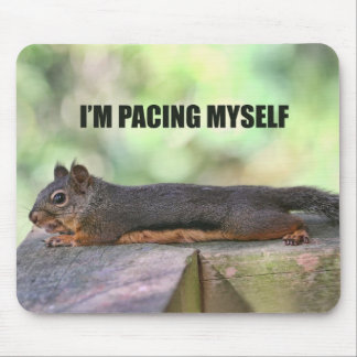 Tapis De Souris Photo paresseuse d'écureuil