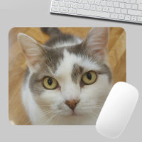 Photo personnalisée pour animal de compagnie Mouse