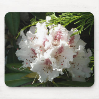 Tapis De Souris Photo rose de rhododendron