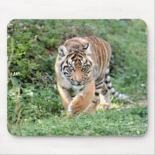 Tapis De Souris photo tiger chat animaux. pavé souris