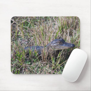 Tapis De Souris Photographie de faune et flore de bébé alligator