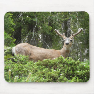 Tapis De Souris Photographie de la nature et des cerfs de Yosemite