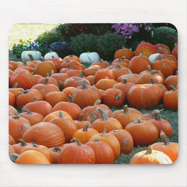 Tapis De Souris Photographie de récolte d'automne des citrouilles  (Devant)