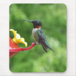 Tapis De Souris Photographie d'oiseau Colibri à gorge rubis
