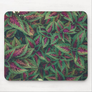 Tapis De Souris Photographie - Feuilles rouges et verts