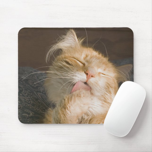 Tapis De Souris Photos de Gros Plan de Chat Rouge Maine (Avec souris)