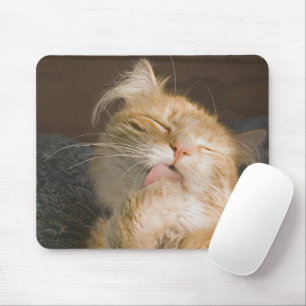Tapis De Souris Photos de Gros Plan de Chat Rouge Maine Coon