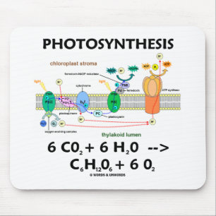 Tapis De Souris Photosynthesis (Carbon Dioxide + Water)