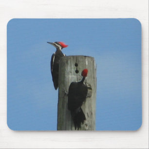 Tapis De Souris Pic à bois Oiseau Mousepad