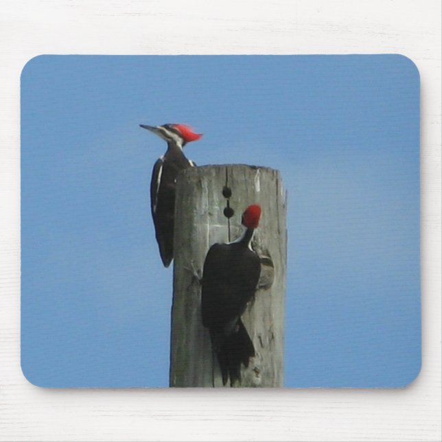Tapis De Souris Pic à bois Oiseau Mousepad (Devant)