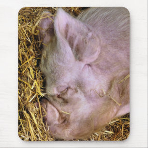 TAPIS DE SOURIS PIÈCES