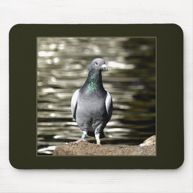Tapis De Souris Pigeon (Devant)