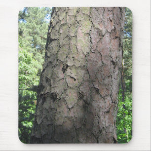 Tapis De Souris Pin Tree, Jardin botanique de Palanga, LITUANIE -
