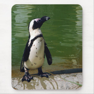 Tapis De Souris Pingouin africain Mousepad