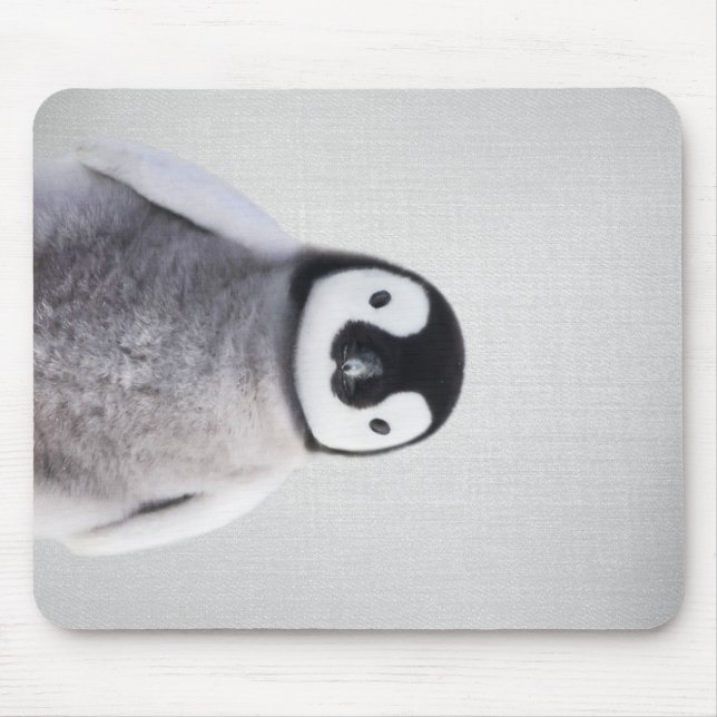 Tapis De Souris Pingouin Bébé Noir Et Blanc Cute (Devant)