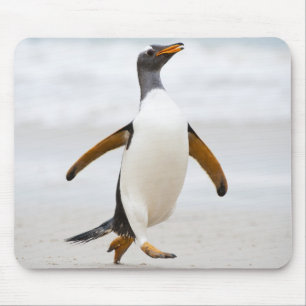 Tapis De Souris Pingouin de Gentoo