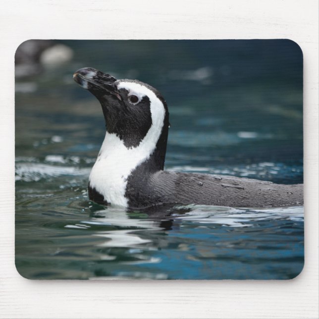 Tapis De Souris Pingouin de natation (Devant)