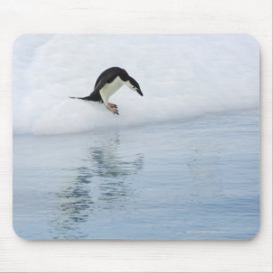 Tapis De Souris Pingouin Gentoo (Pygoscelis papua)