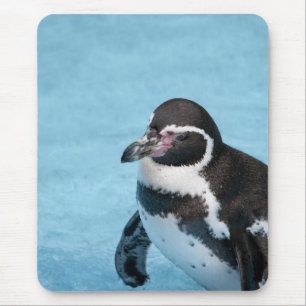 Tapis De Souris Pingouin magellanique Mousepad