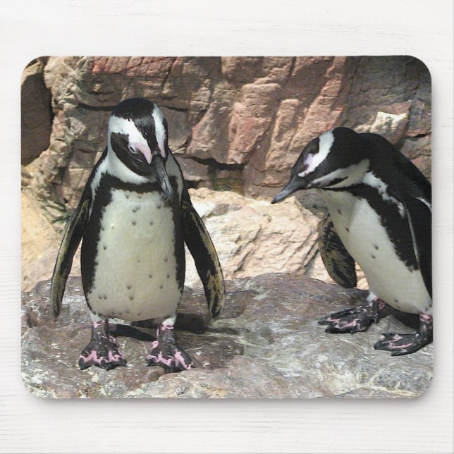 Tapis De Souris Pingouins (Devant)