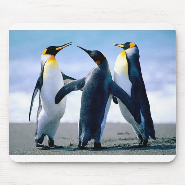 Tapis De Souris Pingouins (Devant)
