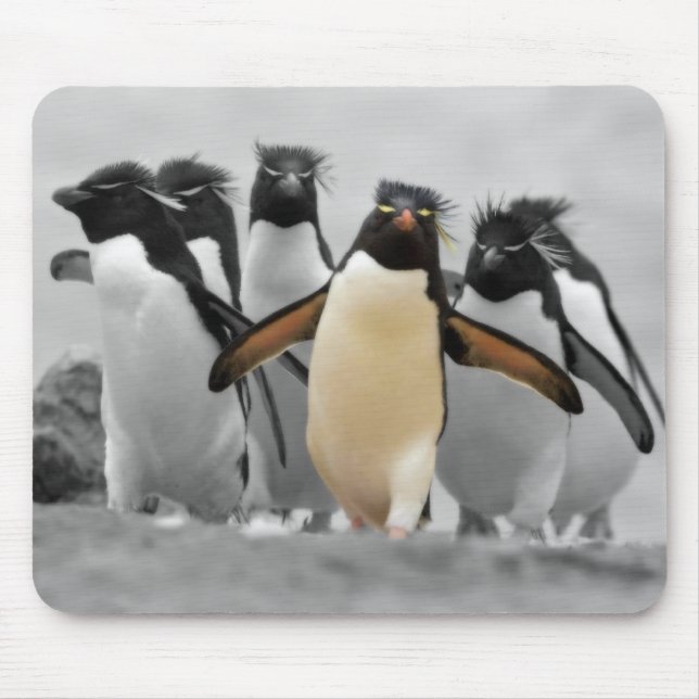 Tapis De Souris Pingouins de Rockhopper (Devant)