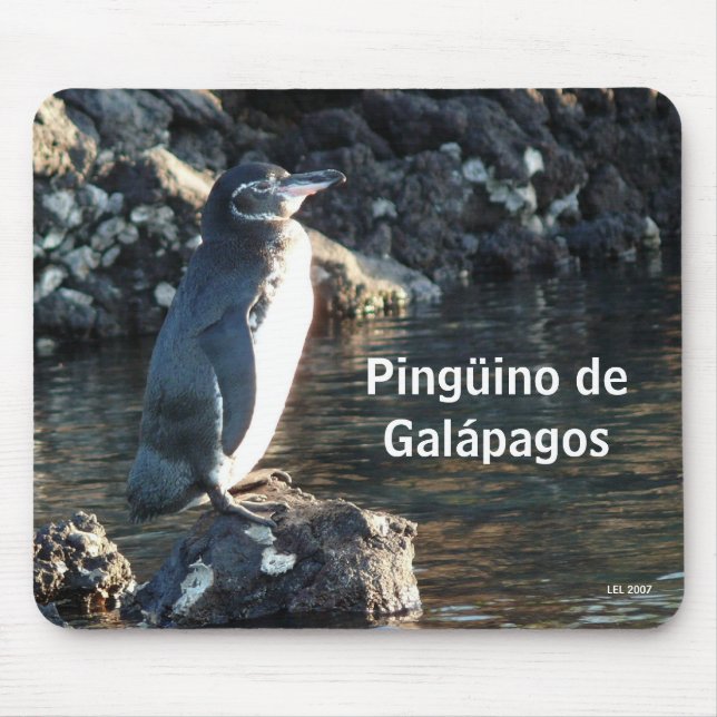 Tapis De Souris Pinguino De Galapagos (Devant)