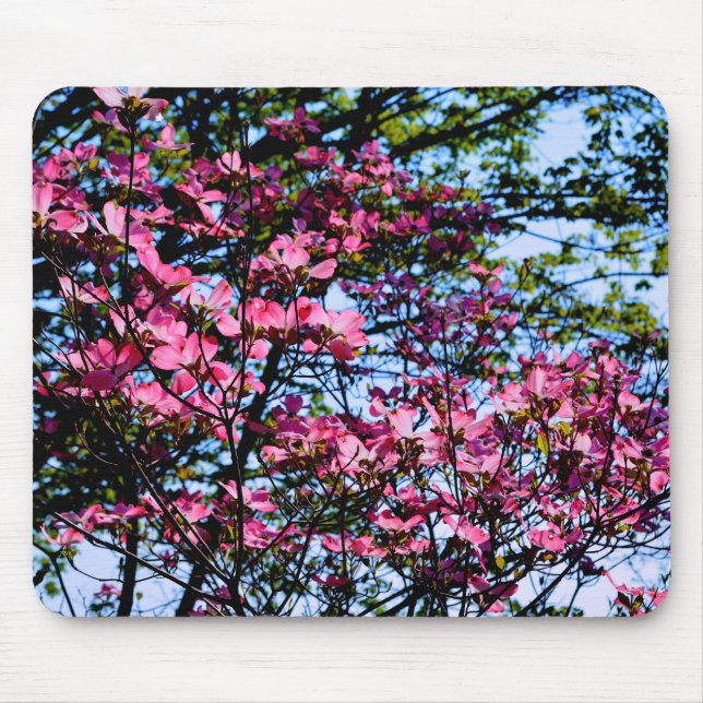 Tapis De Souris Pink flowering Dogwood tree (Devant)