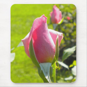 Tapis De Souris Pink Rose Bud Souris pad