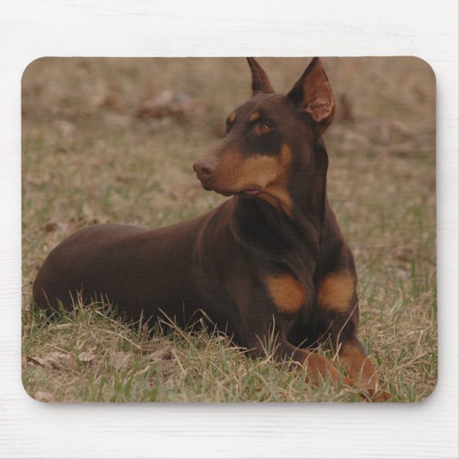 Tapis De Souris Pinscher femelle pointu de dobermann de rouge et (Devant)