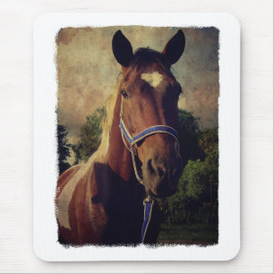 Tapis De Souris Pinto