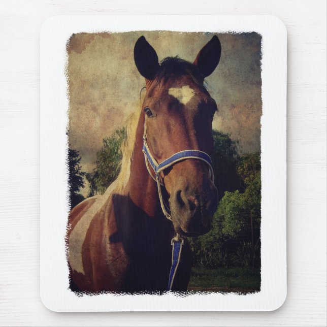 Tapis De Souris Pinto (Devant)