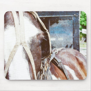 Tapis De Souris Pinto Amish Buggy Horse