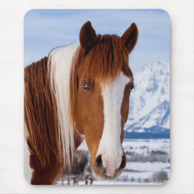 Tapis De Souris Pinto Horse Le mont Moran en hiver (Devant)
