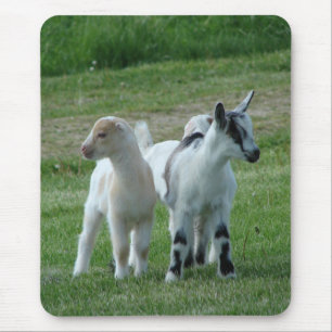 Tapis De Souris Pippi et Grey