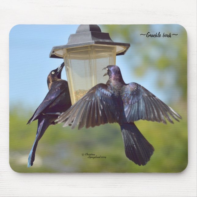 Tapis De Souris Pirateau noir mousepad (Devant)