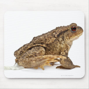 Tapis De Souris Pisser de crapaud commun ou de crapaud européen