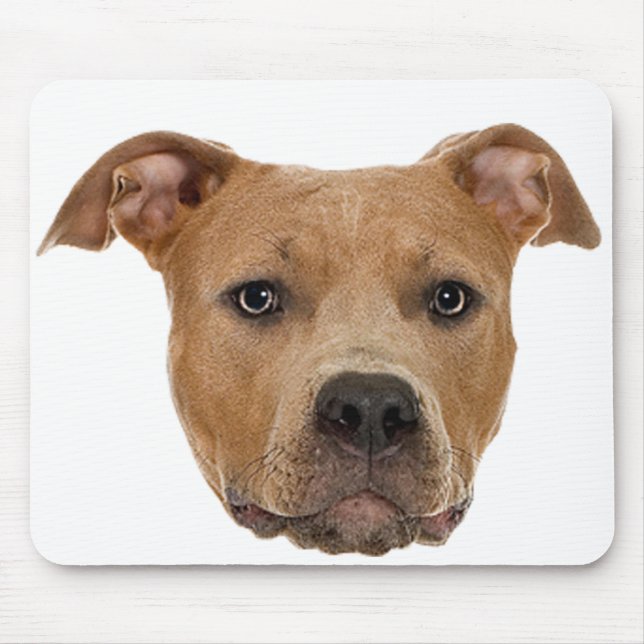 Tapis De Souris Pitbull Chien (Devant)
