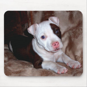 Tapis De Souris Pitbull Puppy Mousepad