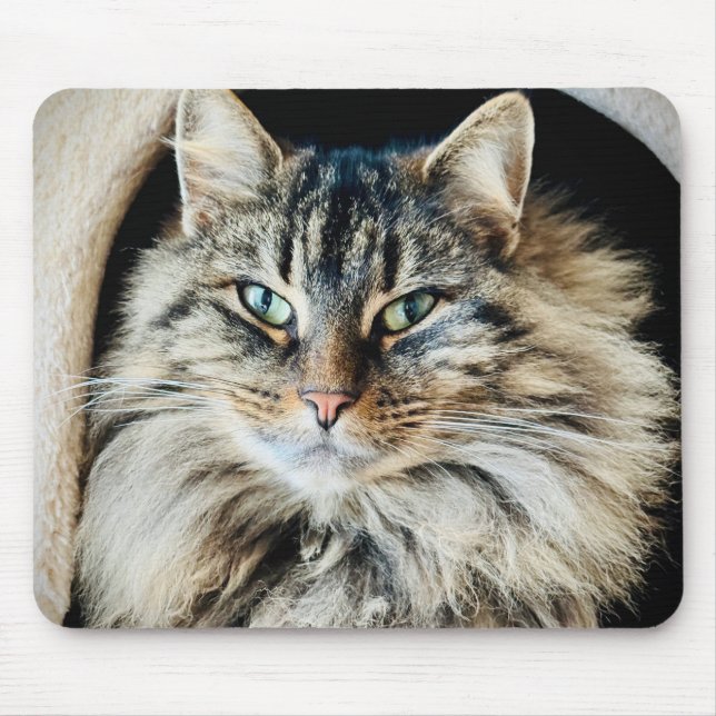 Tapis De Souris Pixie Mousepad (Devant)