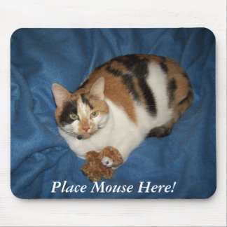 Tapis De Souris Placez la souris ici !
