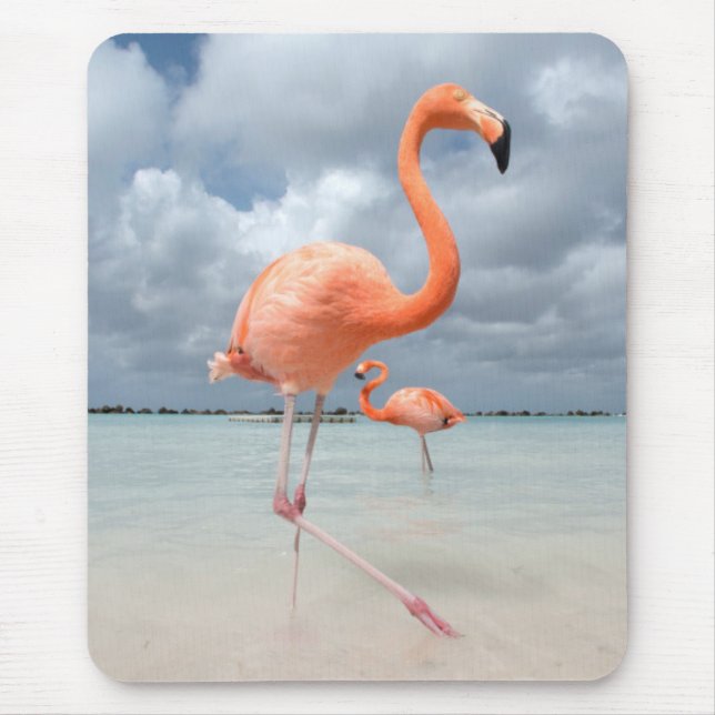 Tapis De Souris Plage Aruba de Flamants roses (Devant)